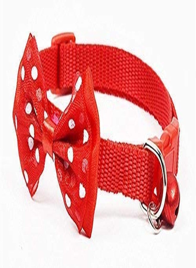 Pet Guard Designer Adjustable Bow Design Collar for Puppy/Cat - Color May Vary - Image 2